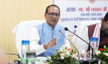 Fake & Substandard Fertilizers Spark Nationwide Concern; Chouhan Writes to Chief Ministers