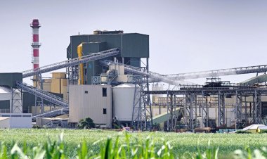 Sugar Companies Set for 6–8% Revenue Growth in FY2026, But Ethanol Price Stagnation May Limit Margins: ICRA