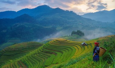 India's Himalayan Study Links Farm Practices to Rising Methane Emissions