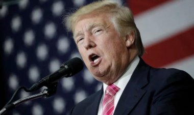 Can India Say No to Trump? Farmers, Food Security and the High-Stakes Trade Stand-Off