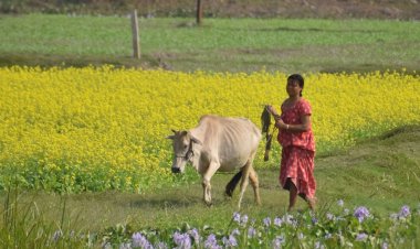 Over 10 Lakh Farmers Enrolled Under National Mission on Natural Farming: Government