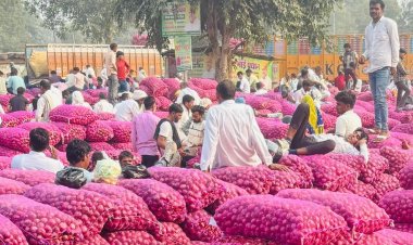Falling Onion Prices Deepen Farmers' Woes, Demand for MSP and Direct Procurement Grows