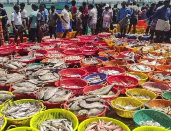 EU Clears India for Aquaculture Products Exports from September 2026