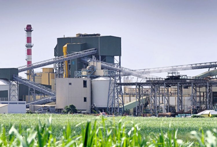 Sugar Companies Set for 6–8% Revenue Growth in FY2026, But Ethanol Price Stagnation May Limit Margins: ICRA