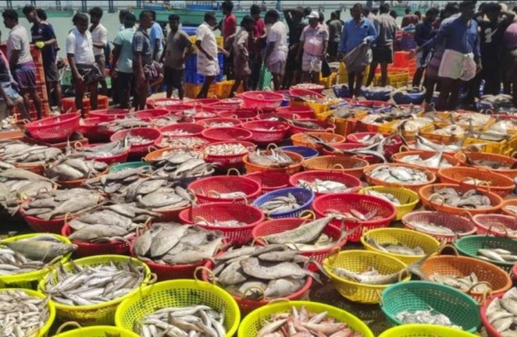 India’s Seafood Industry Poised to Ride CETA Wave with Estimated 70% Export Growth to UK