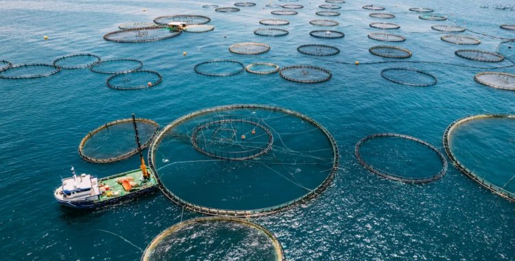 India and Maldives Sign MoU to Boost Sustainable Fisheries and Aquaculture Cooperation