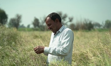 National Mustard Day 2025: Hybrid Mustard Emerges as a Catalyst for Rural Prosperity