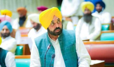 Punjab Pitches Gradual Land Pooling, Big Cities First, Small Towns on Hold