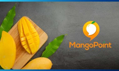 MangoPoint Raises $1 Million in Pre-Series A Round Led by Inflection Point Ventures