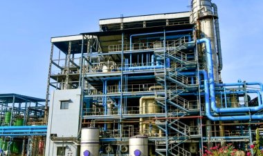 Godavari Biorefineries Reports Resilient Q1 FY26 Performance; Strong Growth in Bio-Based Chemicals Segment