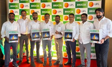 UPL launches Brucia® – Latest innovation in weed management for maize crop