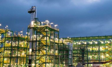 RUNFASTER4EU Project Launched to Drive Sustainable Oil Crop Cultivation on Marginal Lands