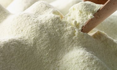 China Eyes Uruguayan Dairy Imports: Is There Space for India in the Game?