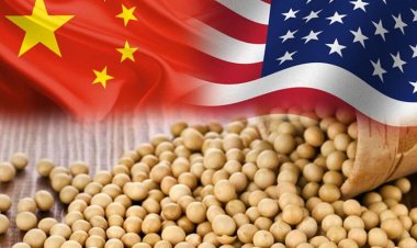 Trump Presses China to Quadruple US Soybean Imports, Price on CBoT Rises by 2%
