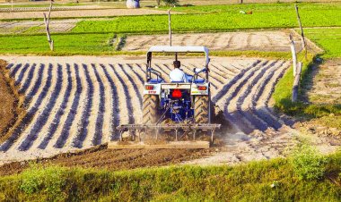 From Food Security to Growth Driver: Report Charts New Path for Indian Agriculture