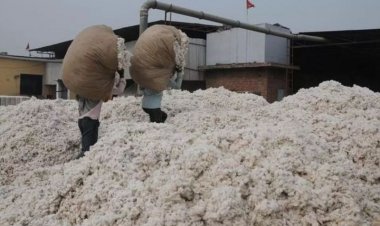 India’s Cotton Imports May Hit Record 40 Lakh Bales This Year