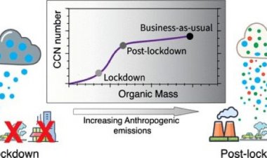 IIT Madras-led Study Reveals Impact of Human Activity on Aerosol and Climate