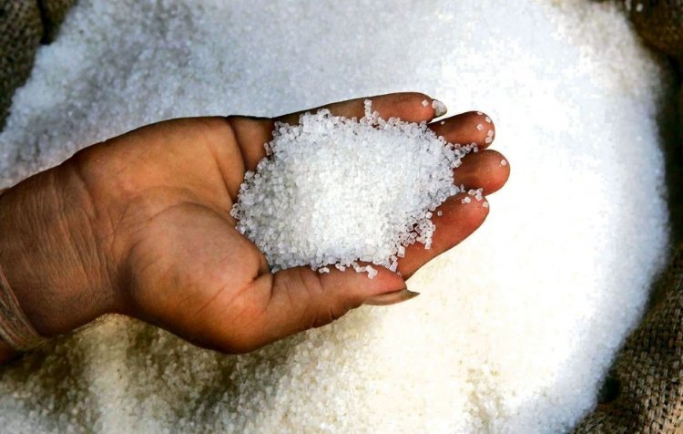 ISMA’s Estimate Misses the Mark: Sugar Output Drops by 4.5 Million Tonnes