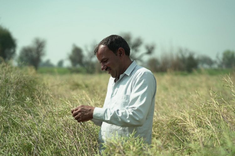 National Mustard Day 2025: Hybrid Mustard Emerges as a Catalyst for Rural Prosperity