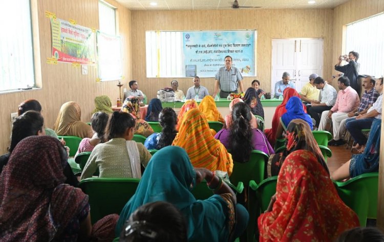 Sweet Revolution: The Story of Empowering Women of ‘Honey Bee Villages’ in Gwalior’s Morar Block