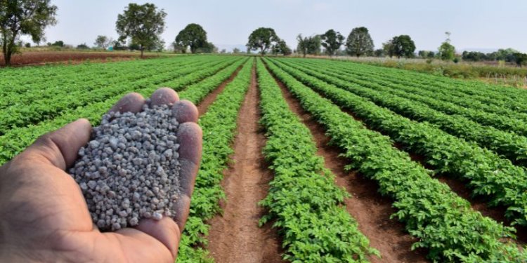 Fertiliser Issues Spark Flurry of Questions in Parliament; Government Admits Dip in DAP Imports from China