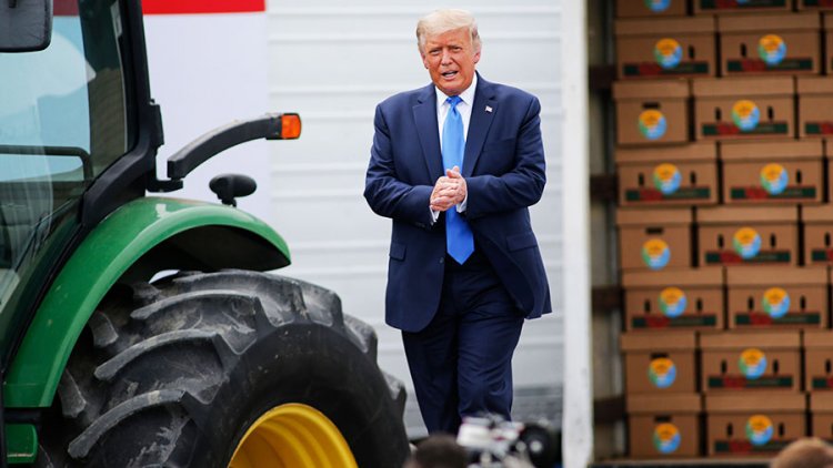 From Fields to Fishing Nets, Rural India’s Global Link Is Fraying