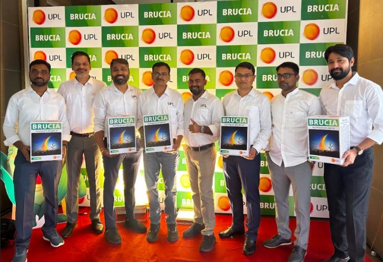 UPL launches Brucia® – Latest innovation in weed management for maize crop