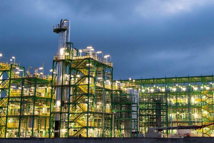 RUNFASTER4EU Project Launched to Drive Sustainable Oil Crop Cultivation on Marginal Lands