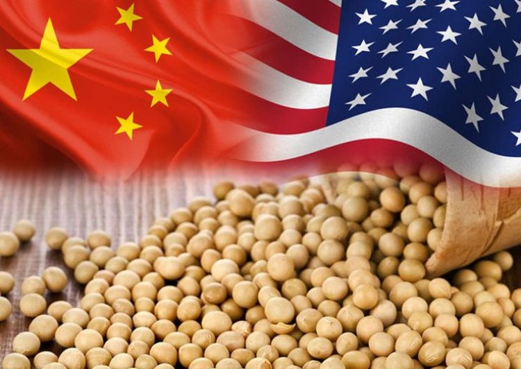 Trump Presses China to Quadruple US Soybean Imports, Price on CBoT Rises by 2%