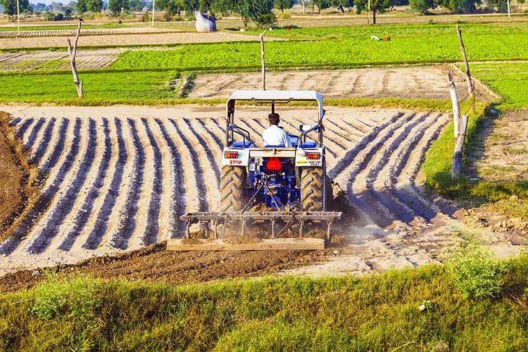 From Food Security to Growth Driver: Report Charts New Path for Indian Agriculture