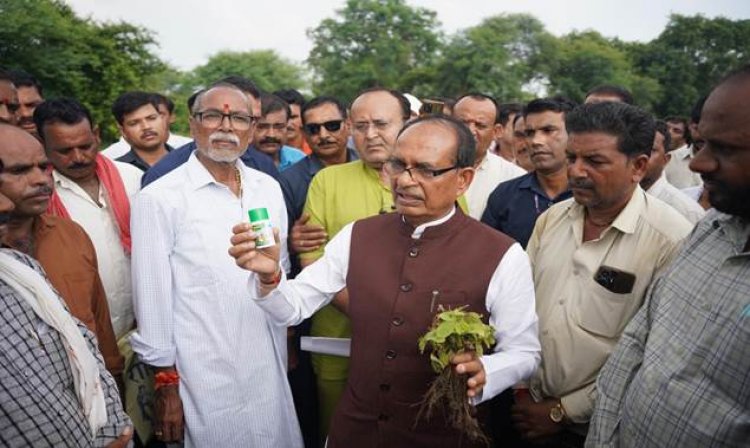 Manufacturing License of HPM Chemicals & Fertilizers Suspended, FIR Lodged in Three Districts