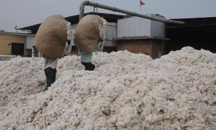 India’s Cotton Imports May Hit Record 40 Lakh Bales This Year