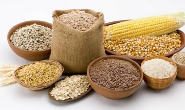 Global Cereal Production Forecast Hits All-Time High in 2025, Driven by Strong Coarse Grain Outlook