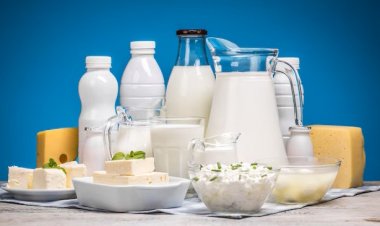 Slashing GST on Dairy Products to Save Rs 11,400 Crore Annually