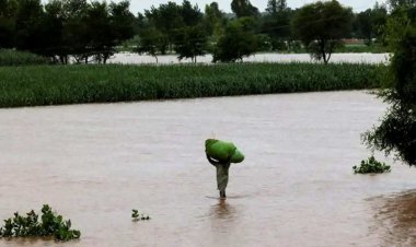 Uneven Rains Damp Crop Prospects, Punjab and Rajasthan Staring at Major Losses