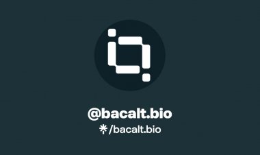 BacAlt Biosciences raises ₹18 Crore in funding round led by Avaana Capital