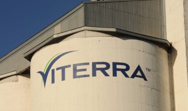 International Grain Market Faces $2.5 Billion Risk from Bunge-Viterra Merger