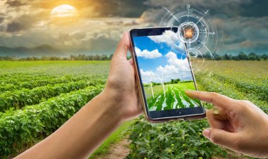 Government launches AI-based weather forecasting program, reaching 3.8 crore farmers