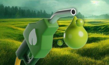 India’s Biodiesel Sector in Crisis, Industry Turns to Supreme Court