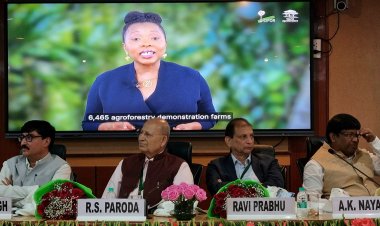 Farmers’ Role in Agroforestry Vital for Climate, Economy: Experts Call for Scaling Efforts