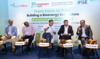 IBET 2025: Farm-to-Fuel Seminar Calls for Farmer-Centric Bioenergy Ecosystem