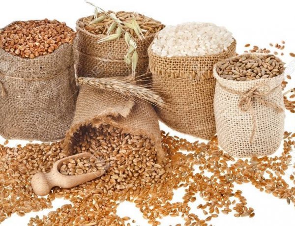 Global food prices rise in February after five-month decline: FAO Food Price Index