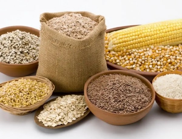 Global Cereal Output to Cross 3 Billion Tonnes for First Time, Stocks Reach Highest Levels in Decades: FAO