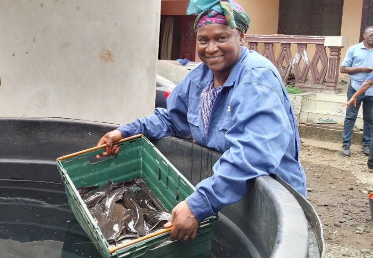 Cameroon’s Fish Farming Revolution: AfDB-Backed Project Boosts Production, Innovation and Livelihoods