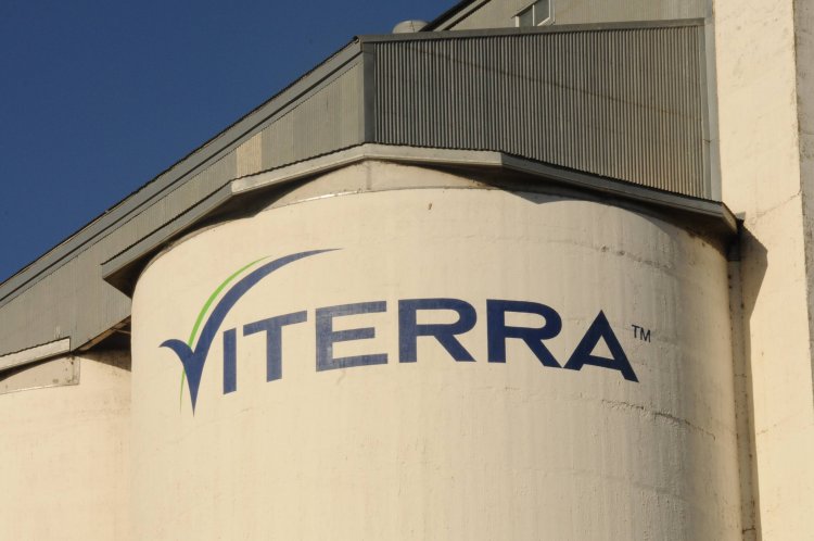 International Grain Market Faces $2.5 Billion Risk from Bunge-Viterra Merger