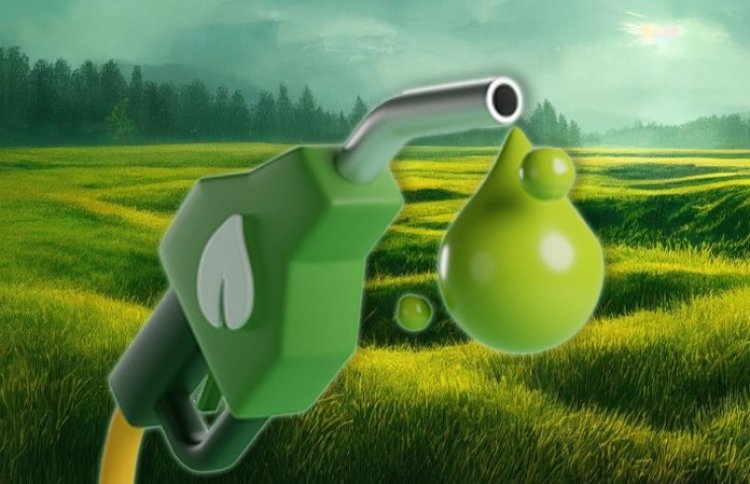 India’s Biodiesel Sector in Crisis, Industry Turns to Supreme Court