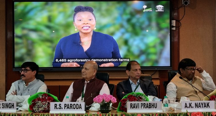 Farmers’ Role in Agroforestry Vital for Climate, Economy: Experts Call for Scaling Efforts