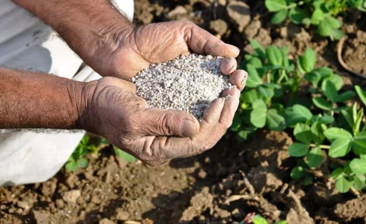 Crop Nutrients: Bio-Fertilizers as a Potential Source for Sustainable Nutrient Supply