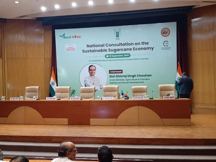 National Consultation on the Sustainable Sugarcane Economy to be Held Today