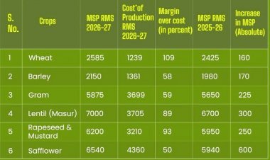 Cabinet Approves MSP Hike for Rabi Crops; Wheat Up by ₹160, Mustard by ₹250